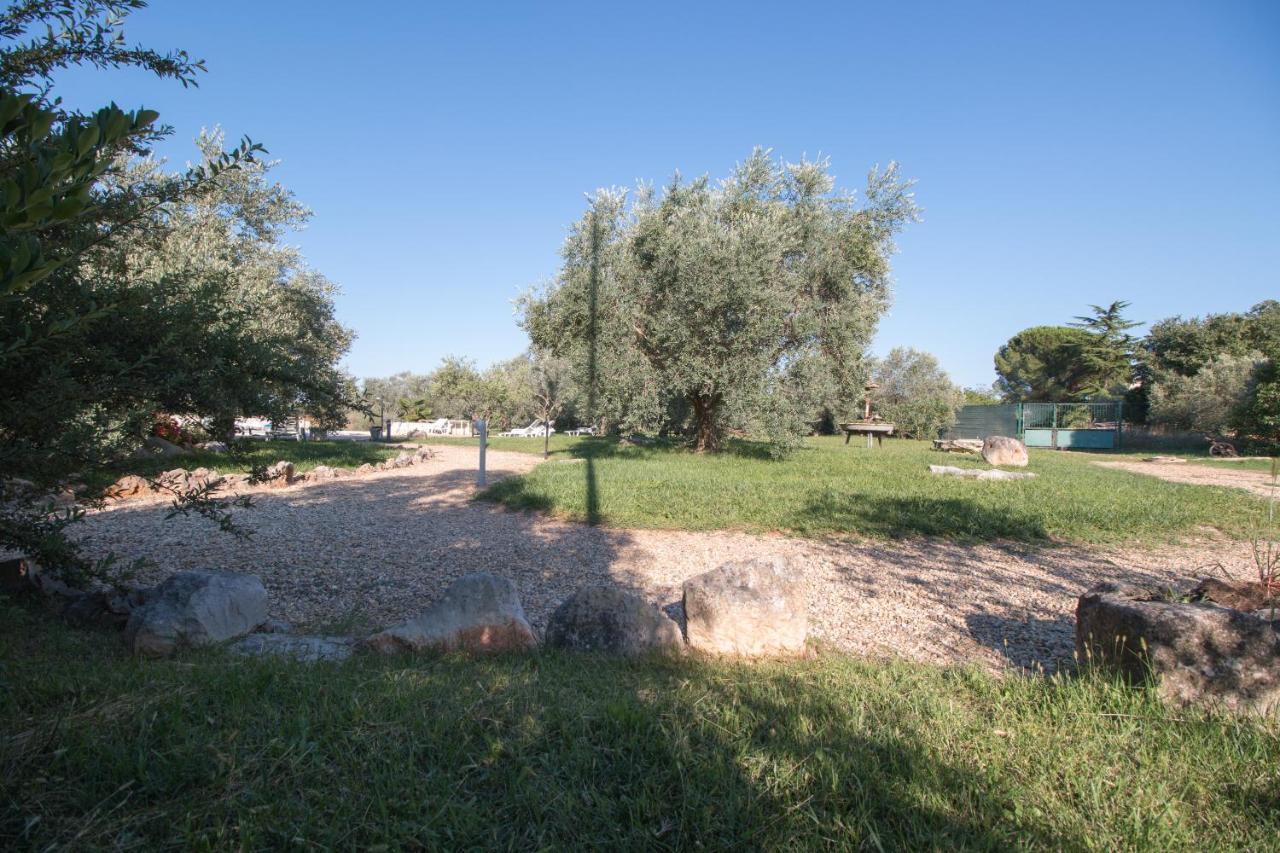 Wine House Apartments & Rooms Marceta Fažana Εξωτερικό φωτογραφία