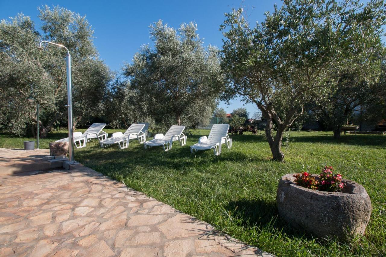 Wine House Apartments & Rooms Marceta Fažana Εξωτερικό φωτογραφία